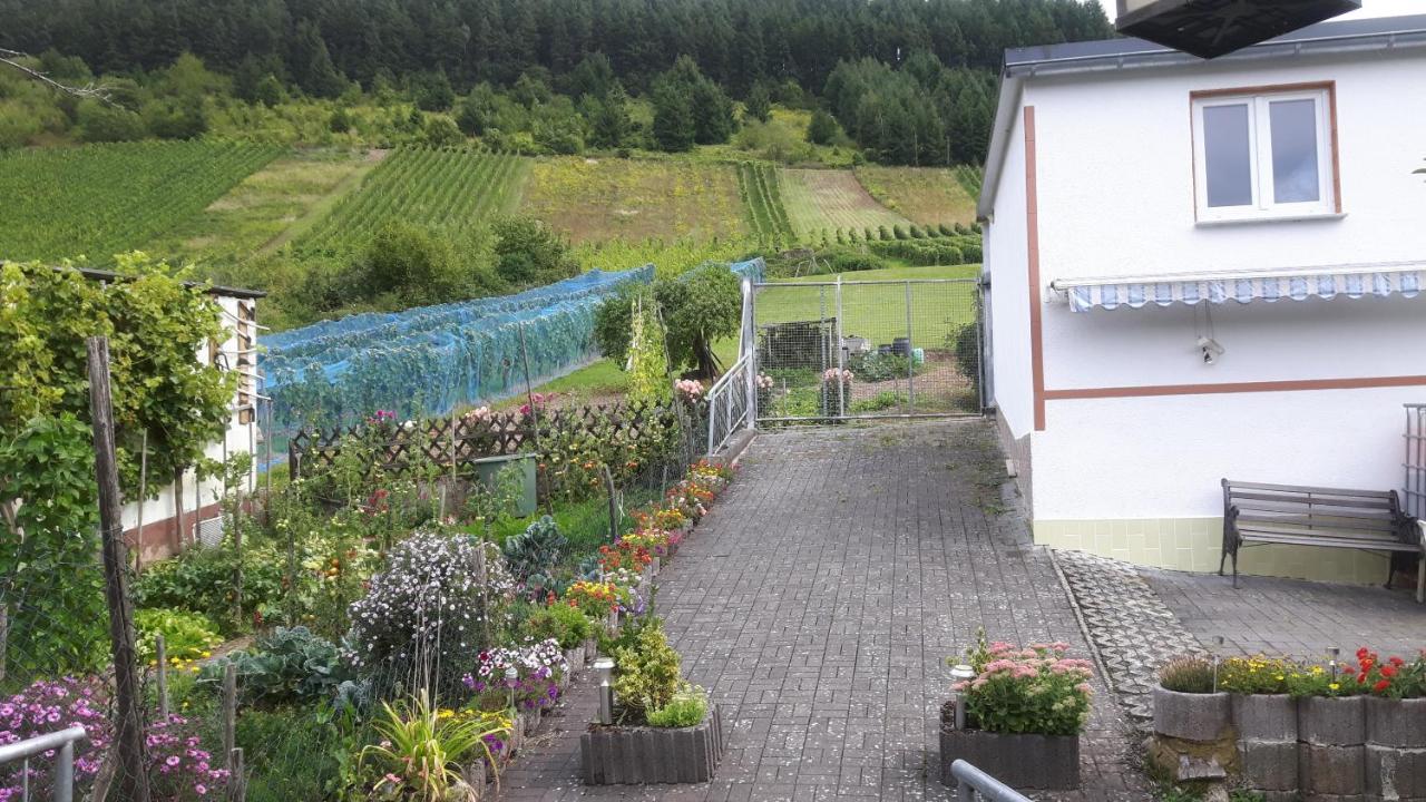 Zwei Ferienwohnungen "Im Weingarten " Burg  Kültér fotó