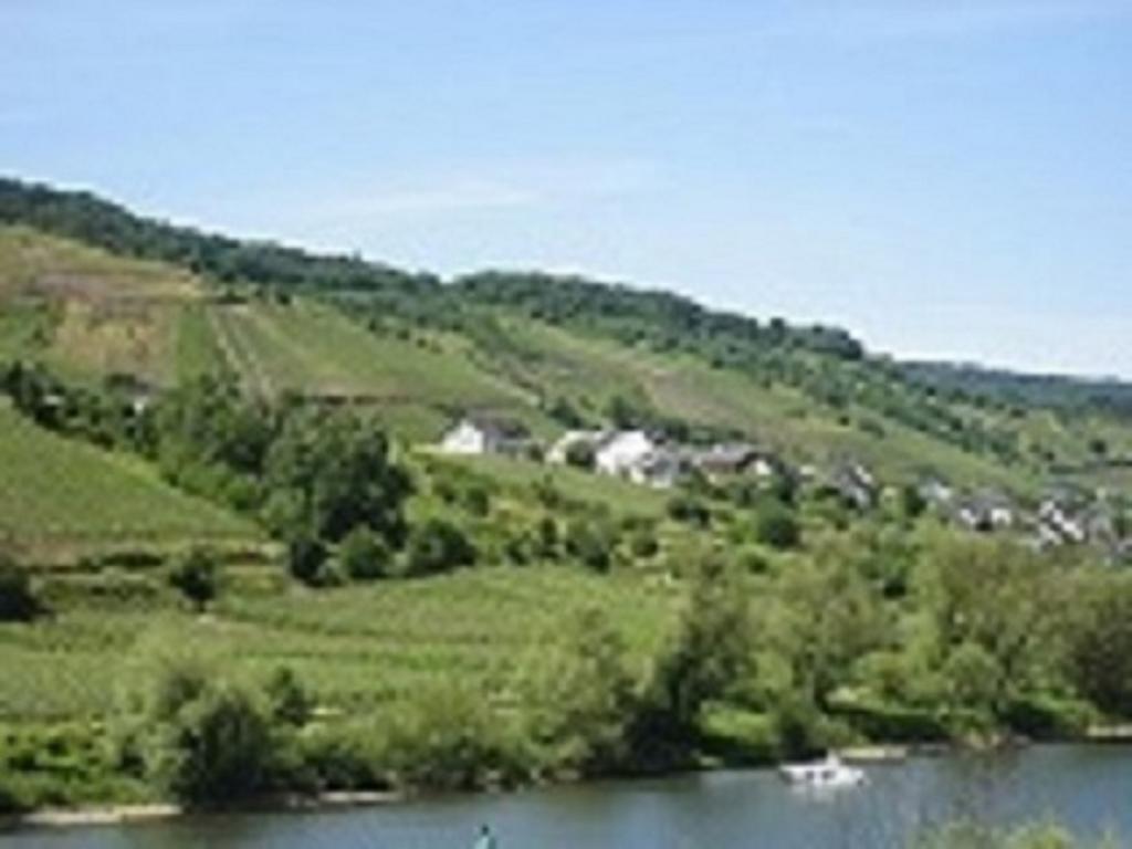 Zwei Ferienwohnungen "Im Weingarten " Burg  Kültér fotó